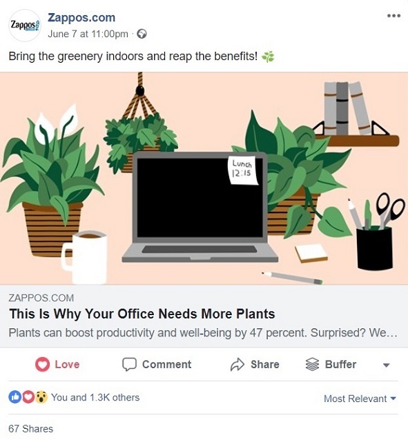 In this post, Zappos keeps it simple and uses a convincing illustration