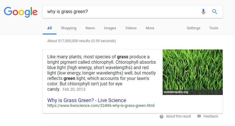 Why Is Grass Green